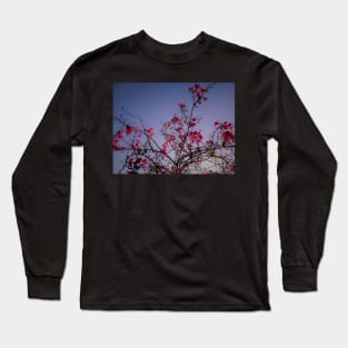 Beautiful summer pink flowers Long Sleeve T-Shirt